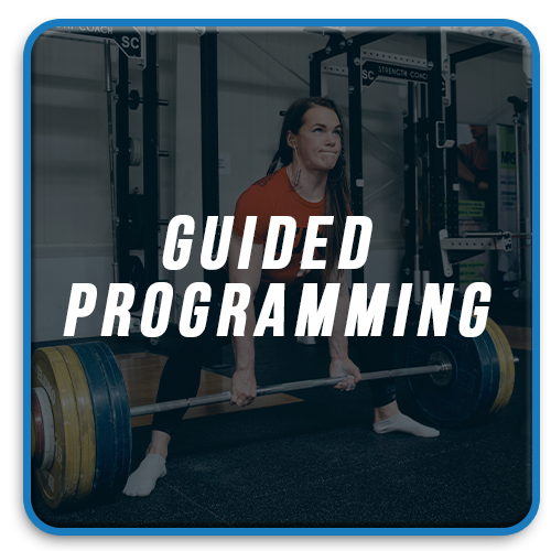 Guided Programming